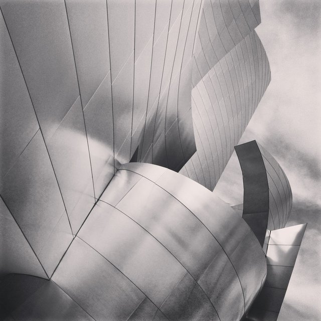 WALT DISNEY CONCERT HALL - B&W 8