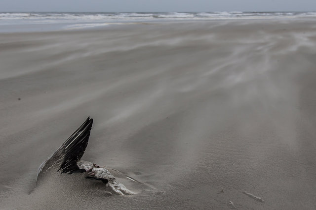 Schiermonnikoog