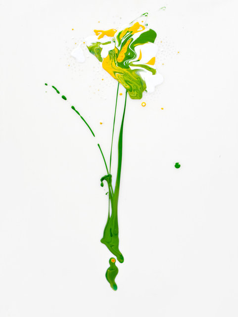 Flora XII