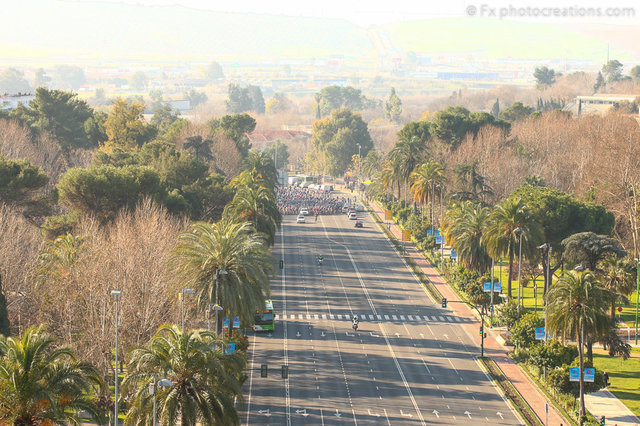 Andalucia01468.jpg