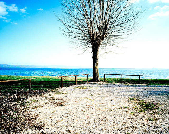 Il Cammino della Via Francigena | Antonello Mazzei 05.jpg