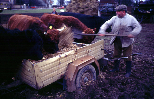 The farming couple Helmut and Hertha in Froeßnitz, Germany, live like they are in another time.