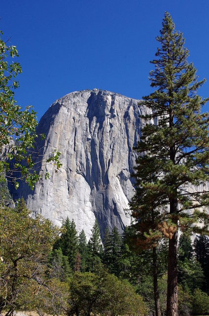 El Capitan Yosemite (4) VB.JPG