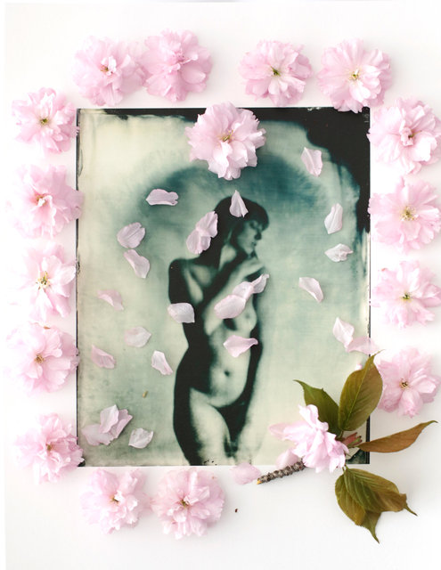 FLOWERS_1_052.JPG