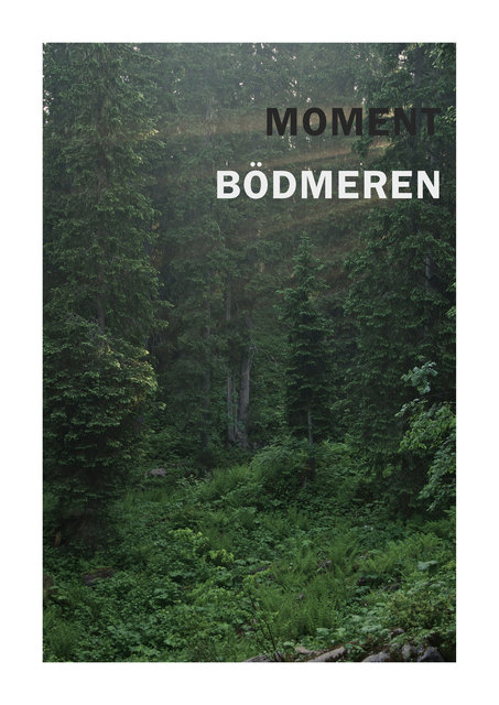 Bödmerenwald 20.jpg