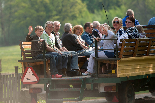 Rijtoer met trekpaarden