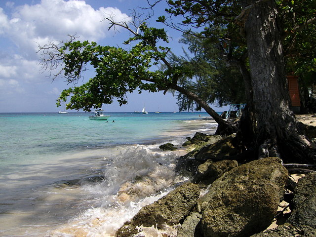 Coast near Holetown VB.JPG