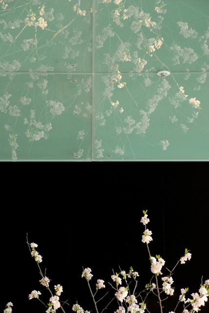Ton van Bragt: Sakura's Mirror