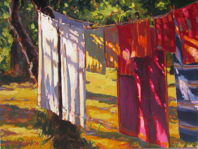 Clothesline in the Late Afternoon