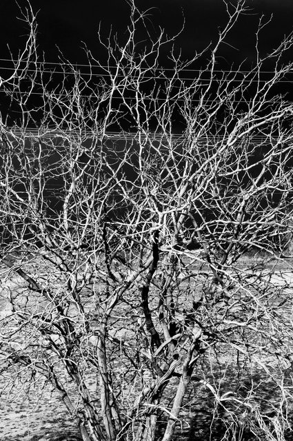 KeithSkeltonDesert (4 of 22).jpg