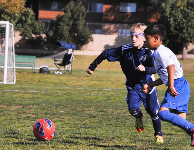 Lena_SMU2013-0818.jpg