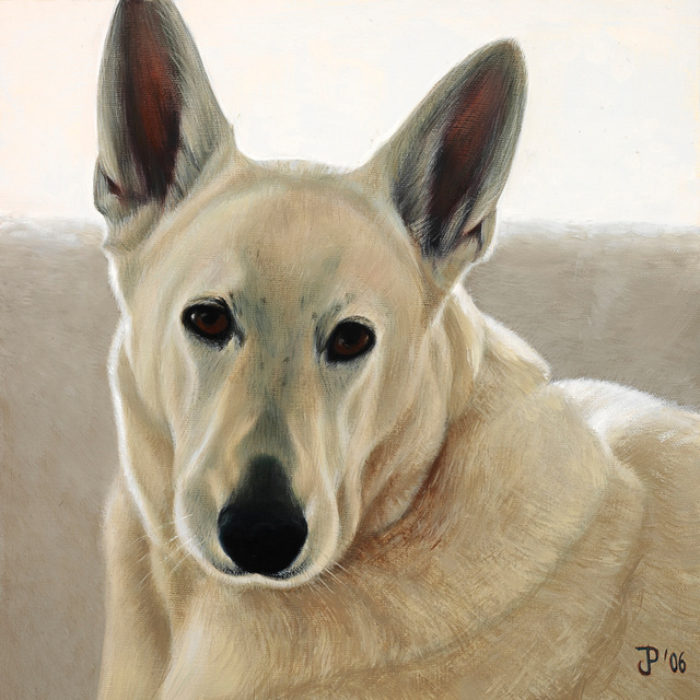 Breed: White German Shepherd / "Eva"