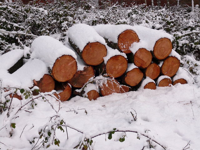 Frozen Logs at Brockett (1) VB.JPG