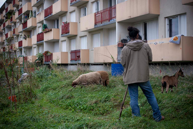 MESNAGE-sorsdeterre-2011-32.jpg