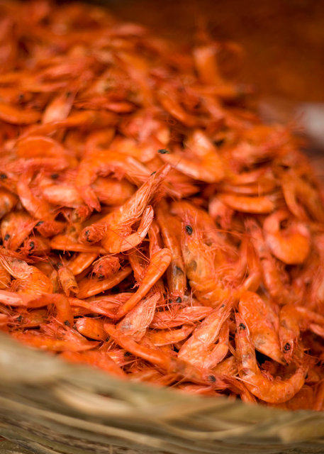 shrimp.jpg