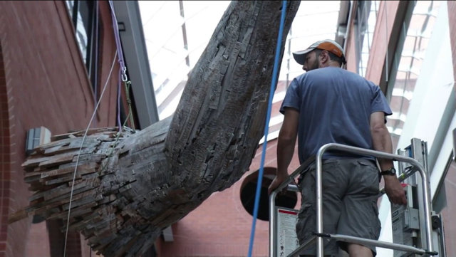 Installing "Lacuna"