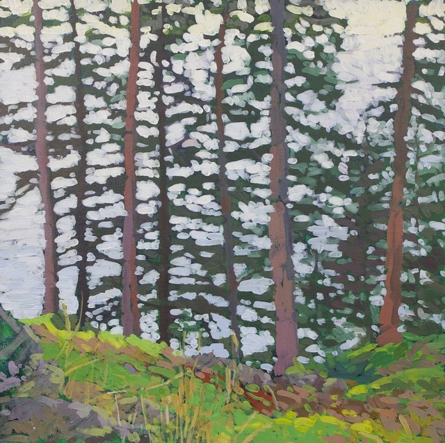 Trees above Northeast Harbor, 2012, Acrylic on Canvas, 24" x 24" (NLA)