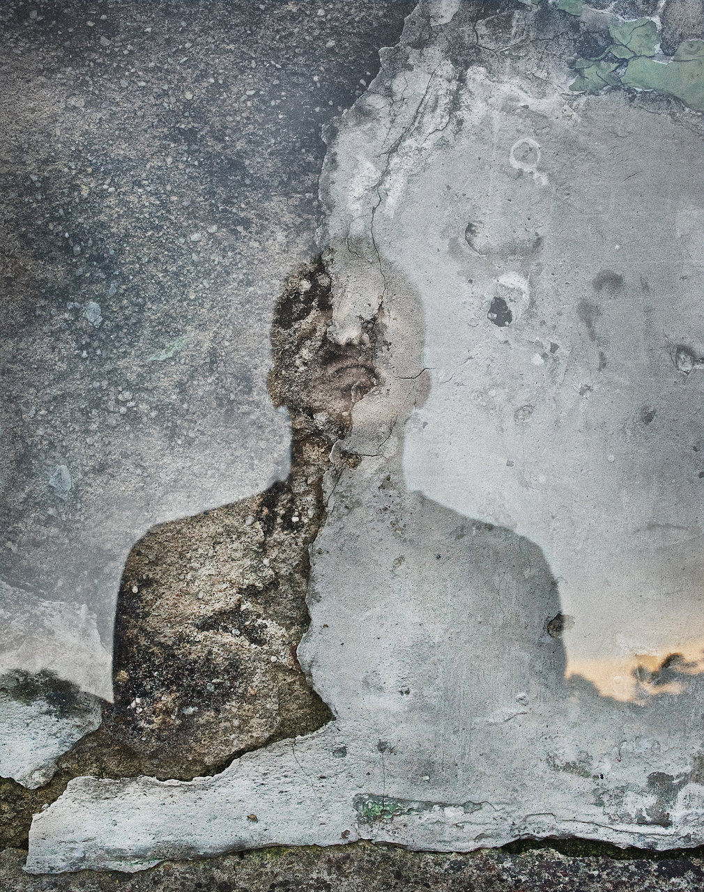 Emergence