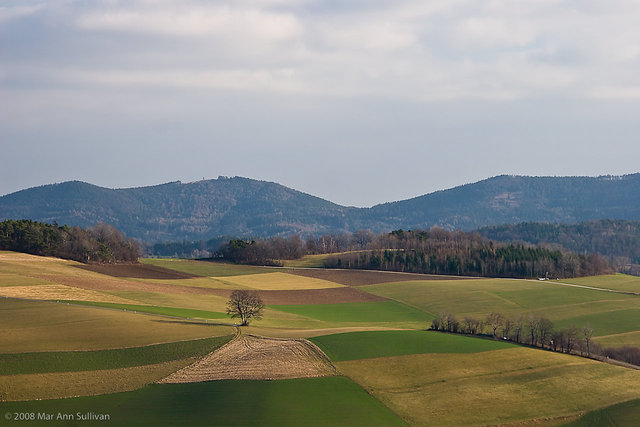  Austria 061716-Edit-Edit.jpg