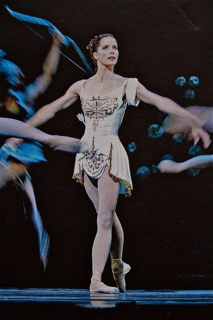 Design hand painted in gold paint.jpg