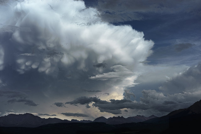 Mammals Clouds