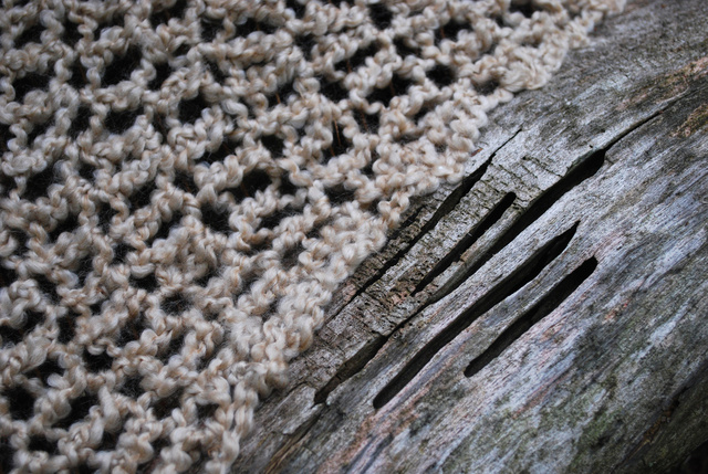 DSC_4655.jpg