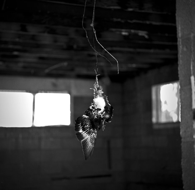 Salton Sea California