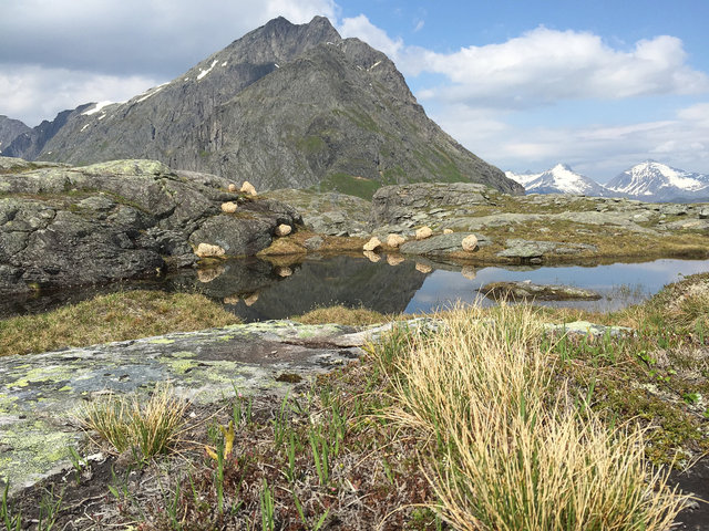 Installation woven of wood and rattan for 'Kunst i Natur* in Åndalsnes, Norway 2015