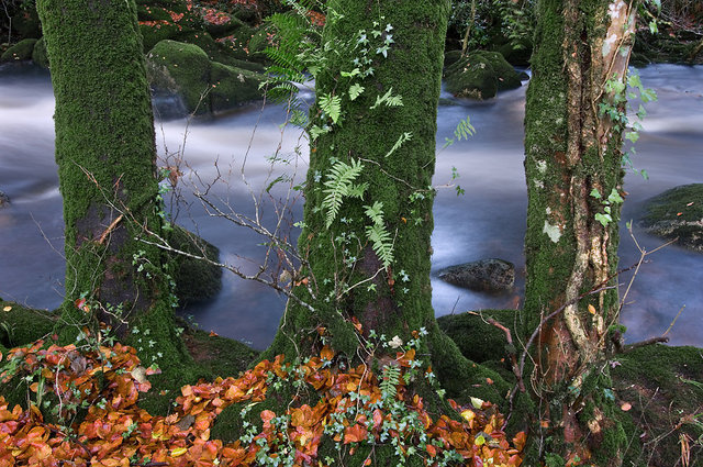 River Avon