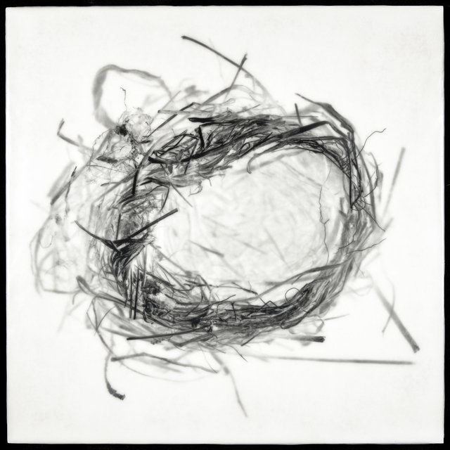 Nest XVII
