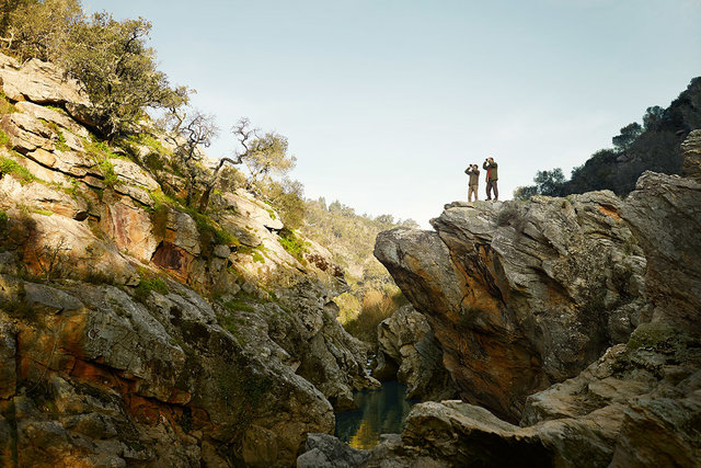 CARL ZEISS BIRDERS