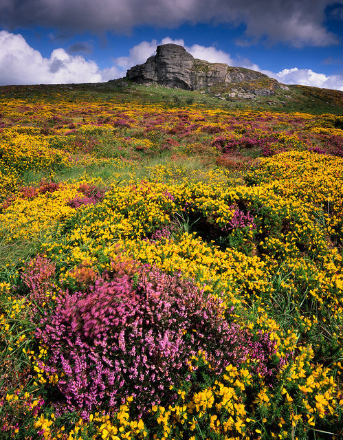 Haytor