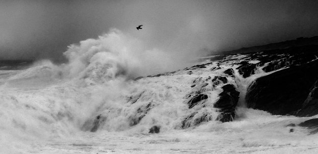 Tempête sur la côte sauvage de Quiberon, Morbihan
