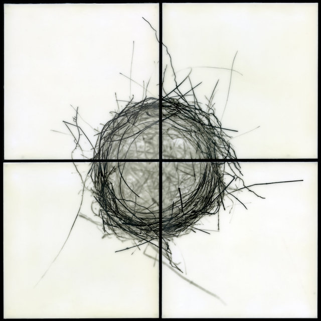 Nest II
