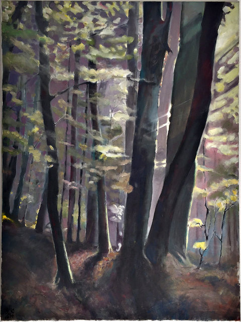 Styrian forest light II