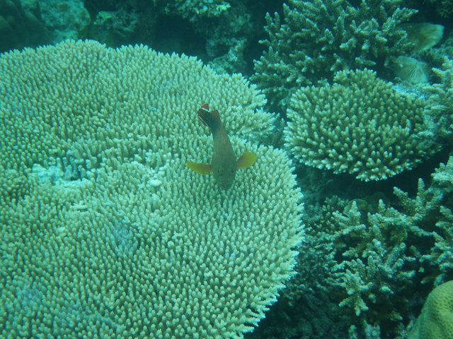 IMGP0760.JPG
