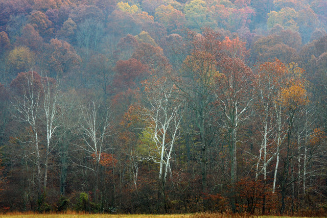 Autumn, southern Ohio