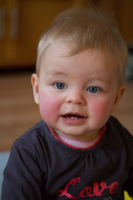 Fenna 22dec12-16.jpg