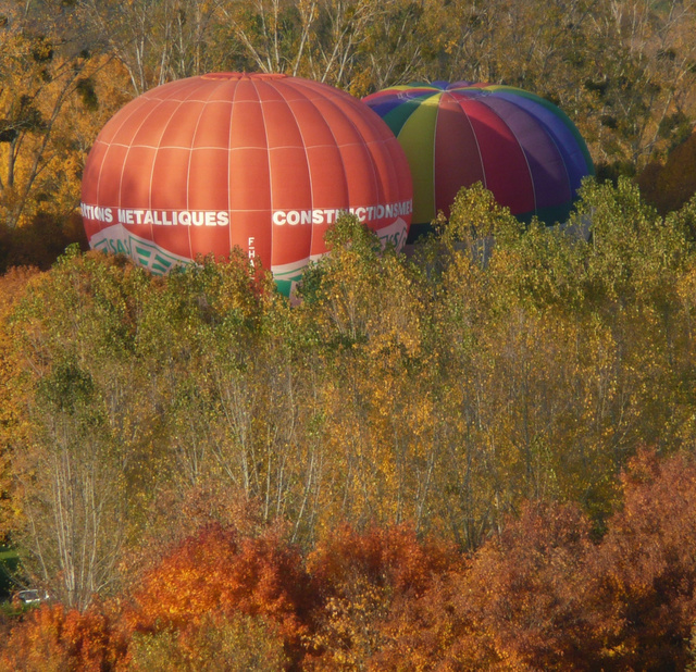 Sologne, novembre 2010