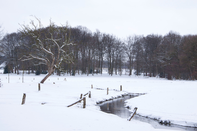 Beekdal in winter 2009/2010