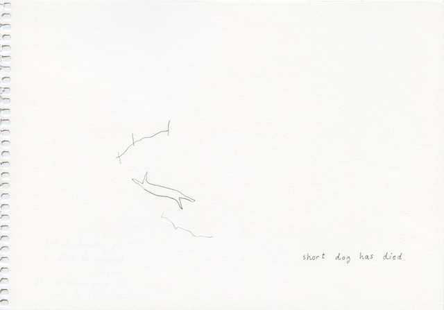 De los animales 5: Short dog has died