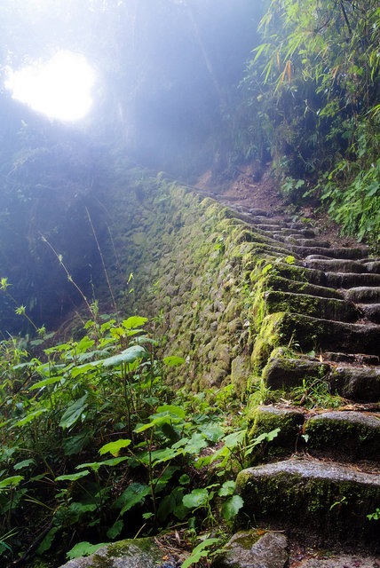 Stairway to Heaven - Inca Trail
