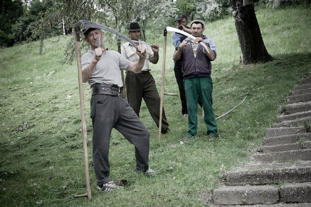 ALM-Bucarest-20100521CL211_1.JPG