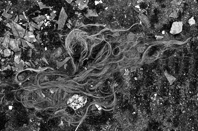 KeithSkeltonDesert (16 of 22).jpg