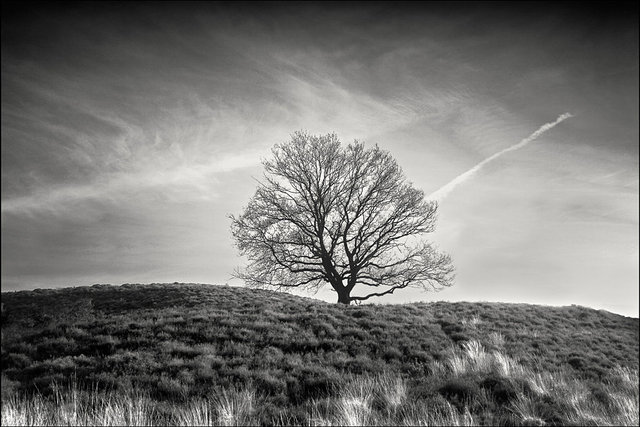 17_MG_4970RAWbw.jpg