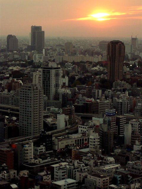 Views From The Tokyo Tower (19) VB.JPG