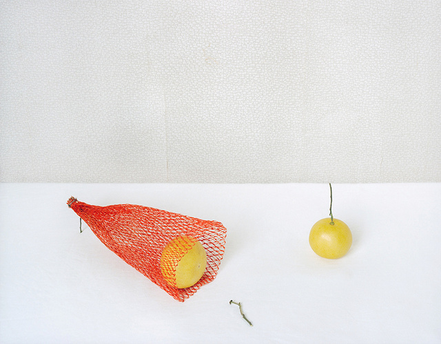 Red Net and Grape Fruits, c 2009