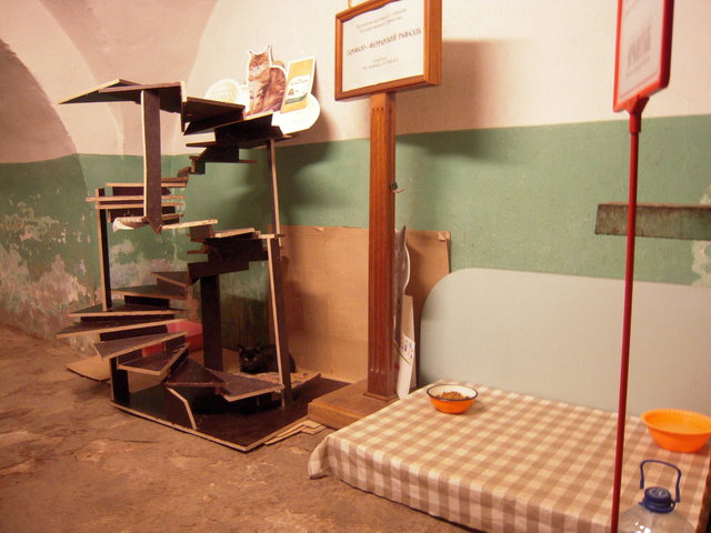 DSCN5958.JPG