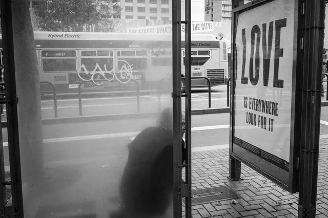 LOVE IS EVERYWHERE