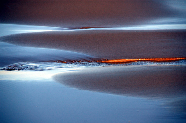 Delta del Ebro_0015.JPG